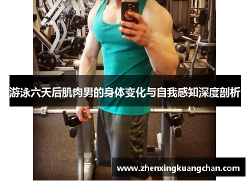 游泳六天后肌肉男的身体变化与自我感知深度剖析
